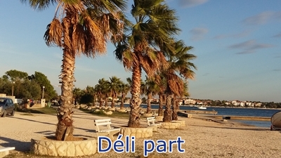 Déli part